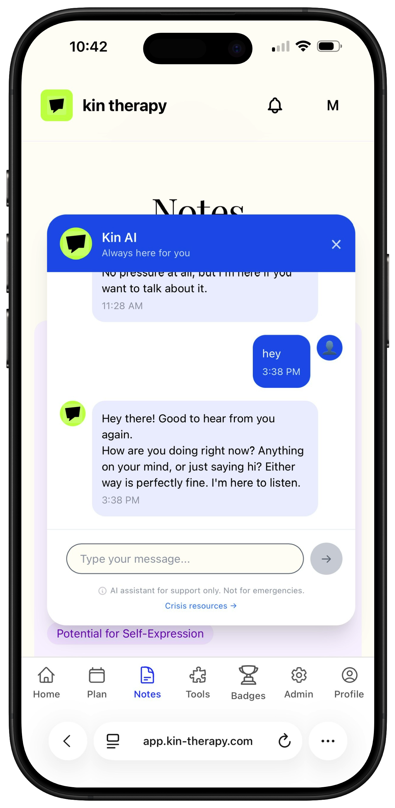 Kin AI chat support